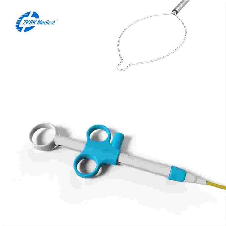 gi endoscopy polypectomy snares4ed743f5 35a2 4358 8916 f1f89a2b16b9